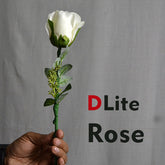Dlite Rose ( RGB )